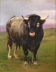 The Black Bull